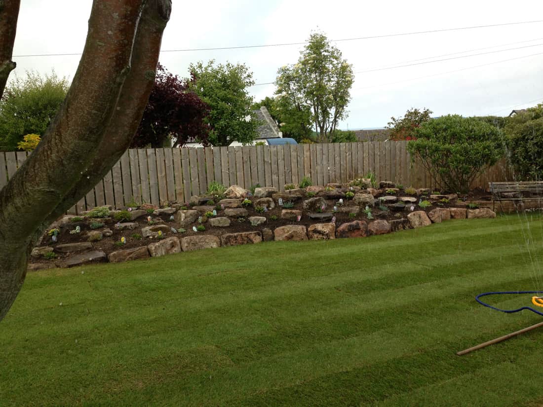 Landscaping near a fence line