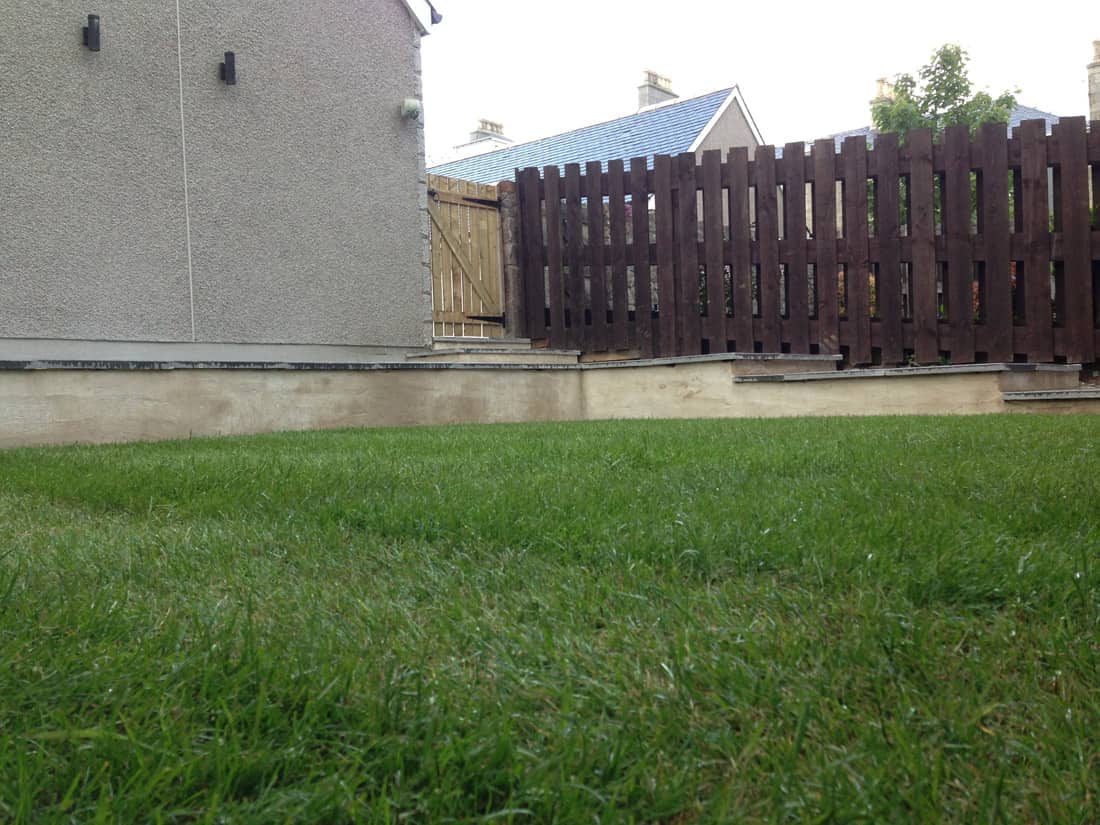 Trimmed grass with fences